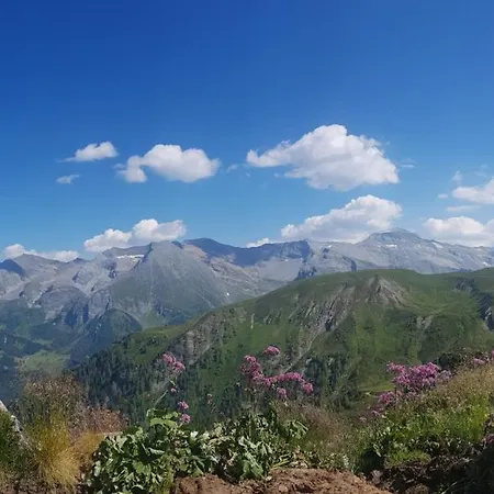 Pensionat Erbhof Innertal Tux